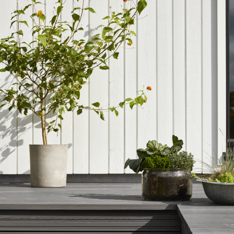 Exterior Woodwork